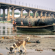 Image for article titled The world’s largest gathering left behind an ecological disaster
